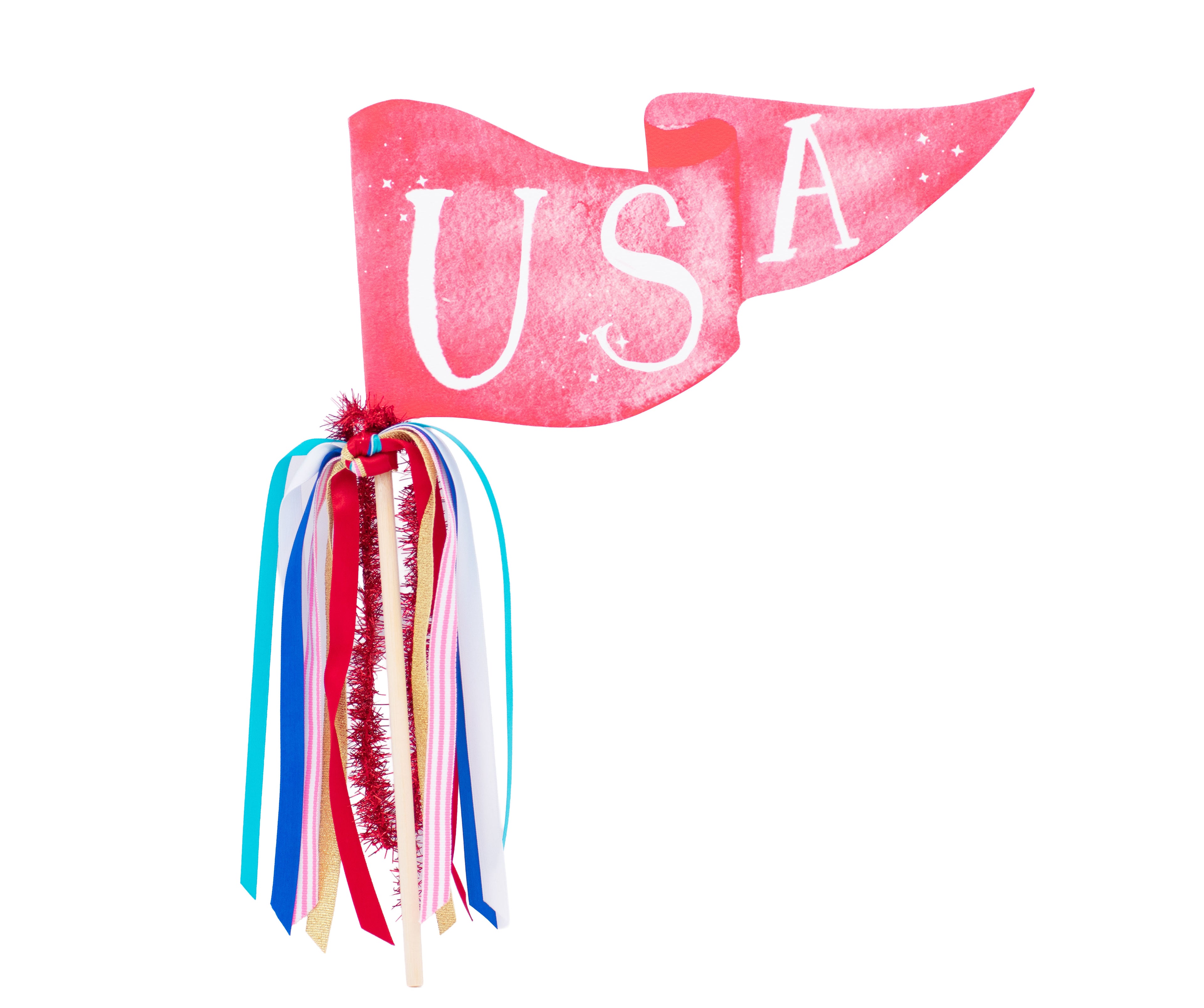 USA PARTY PENNANT