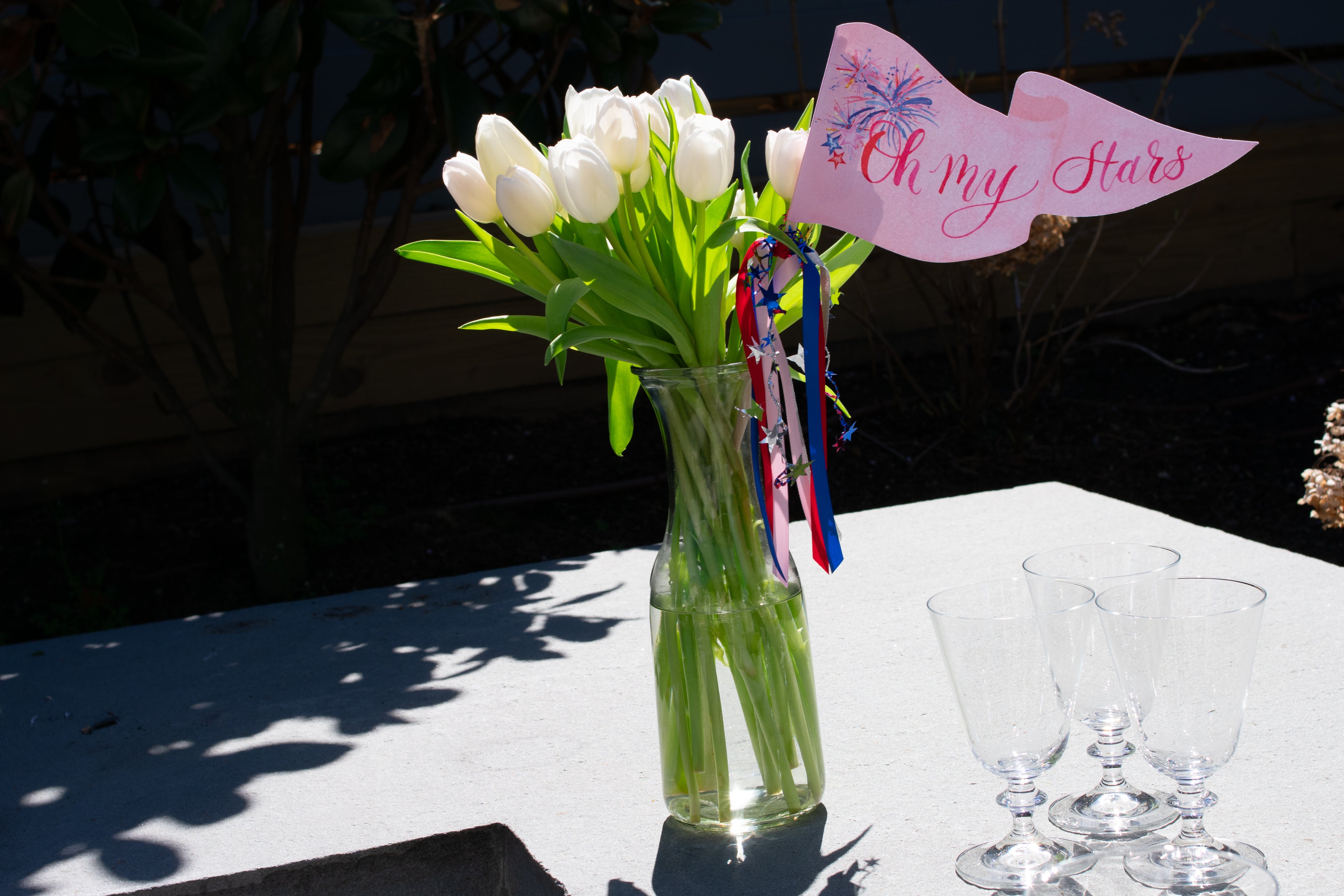 OH MY STARS PARTY PENNANT